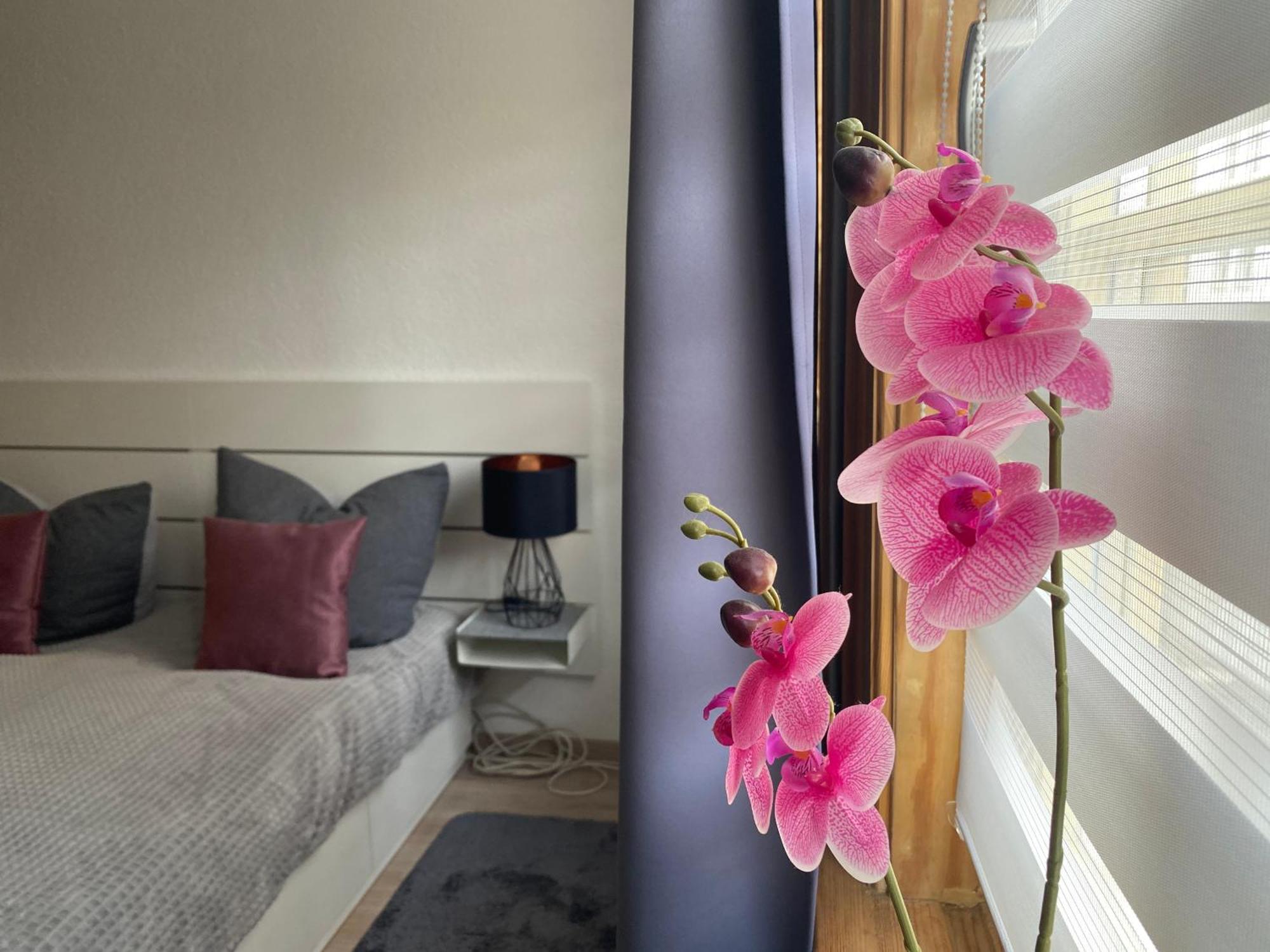Apartment Clara